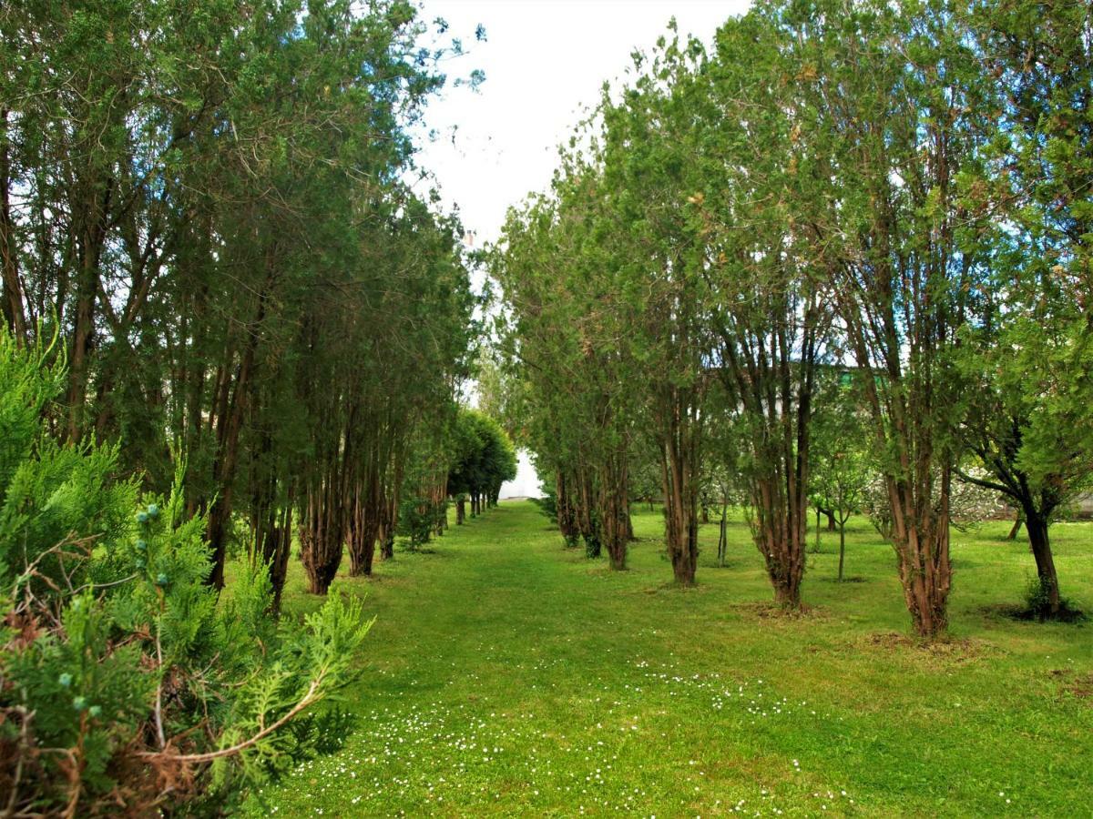 Albergue Pallanes توي المظهر الخارجي الصورة