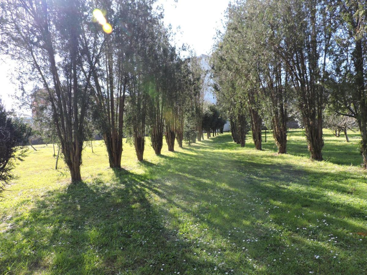 Albergue Pallanes توي المظهر الخارجي الصورة